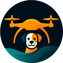 Dron Inspección